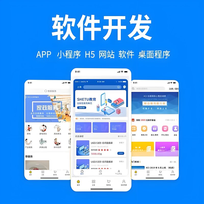 软件定制开发：构建企业数字化转型桥樑